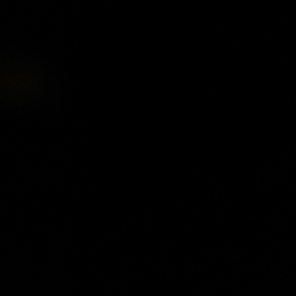 Meet your Posher, Natasha - Picture 1 of 1